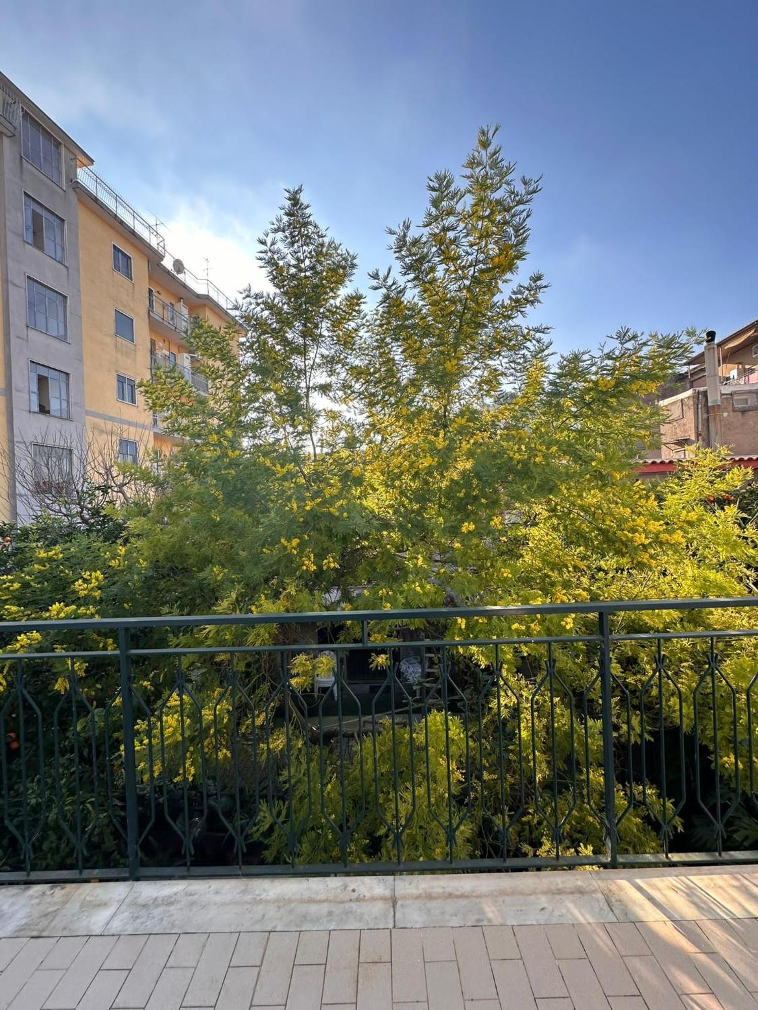 Il Campanile Hotel Scafati Exterior foto